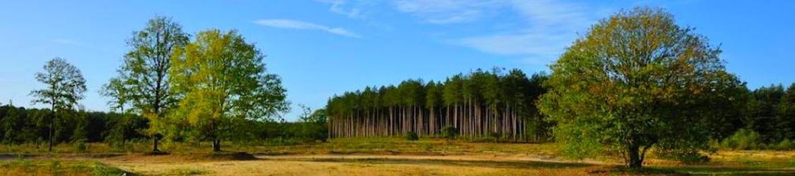 Niederländisch Intensivkurse für Anfänger und Fortgeschrittene